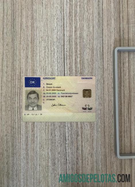 Carta de condução da Dinamarca 2023 presente fotolook frente amostra